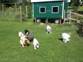 IMG 20200626 WA0009