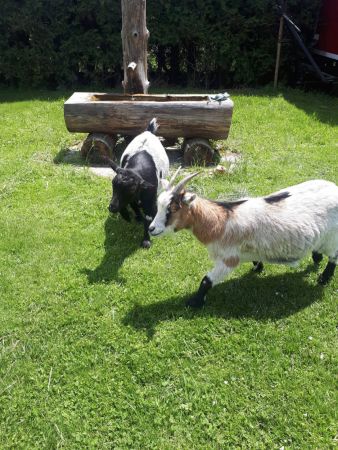 IMG 20200626 WA0010